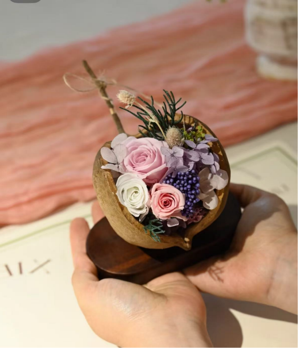 翅苹婆“迷你花园”